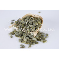 Factory Direct Sale Bulk Quality Halal Kosher Certificated GWS Pumpkin Seeds Kernels